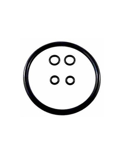 19L Corny Ball Lock Seal Kit