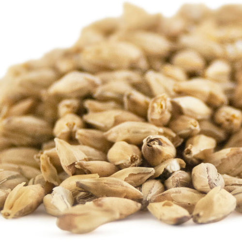 Voyager Chit Malt - 1KG