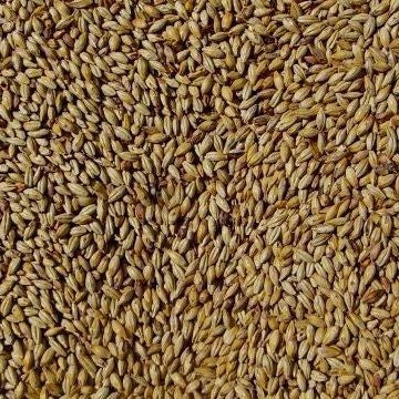 Joe White - Amber Malt (25kg bag)