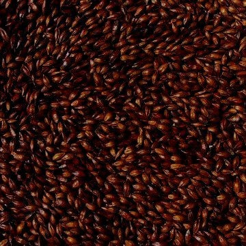 Joe White - Chocolate Malt (per kg)