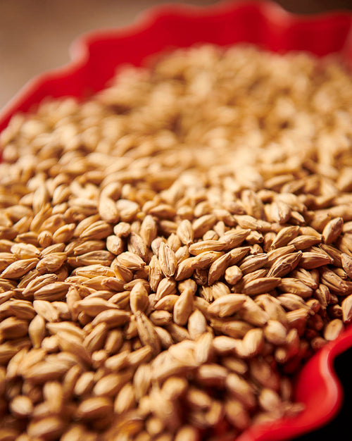 Weyermann - Pale Ale Malt (25kg bag)