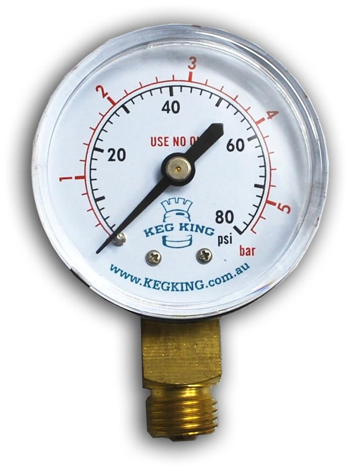 Low Pressure Gauge 0-100psi