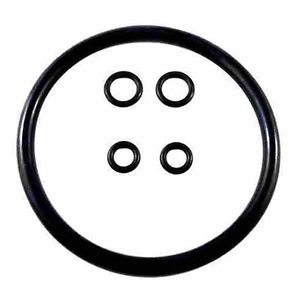 19L Corny Ball Lock Seal Kit