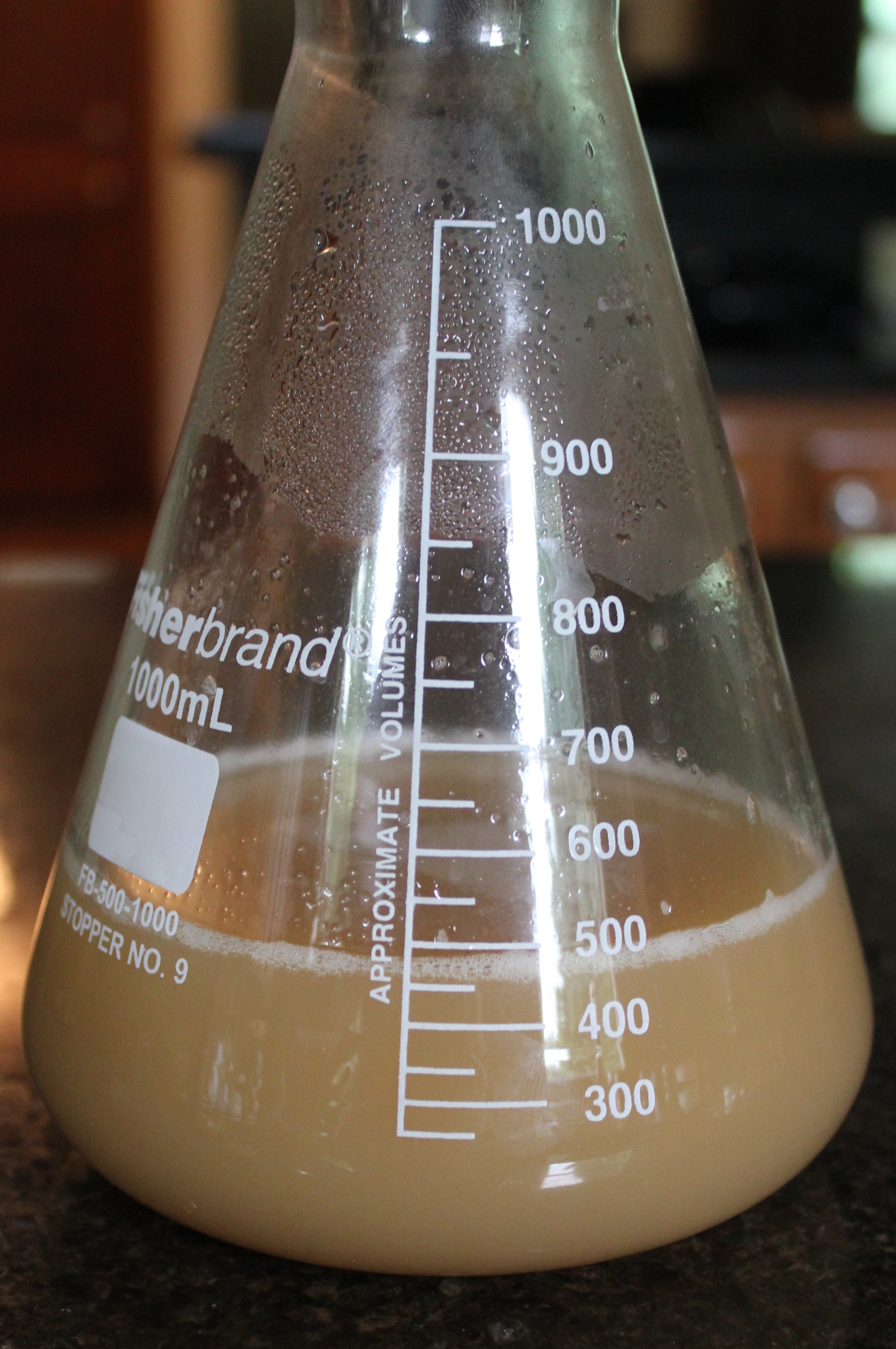 1000ml Borosilicate Erlenmyer Conical Flask