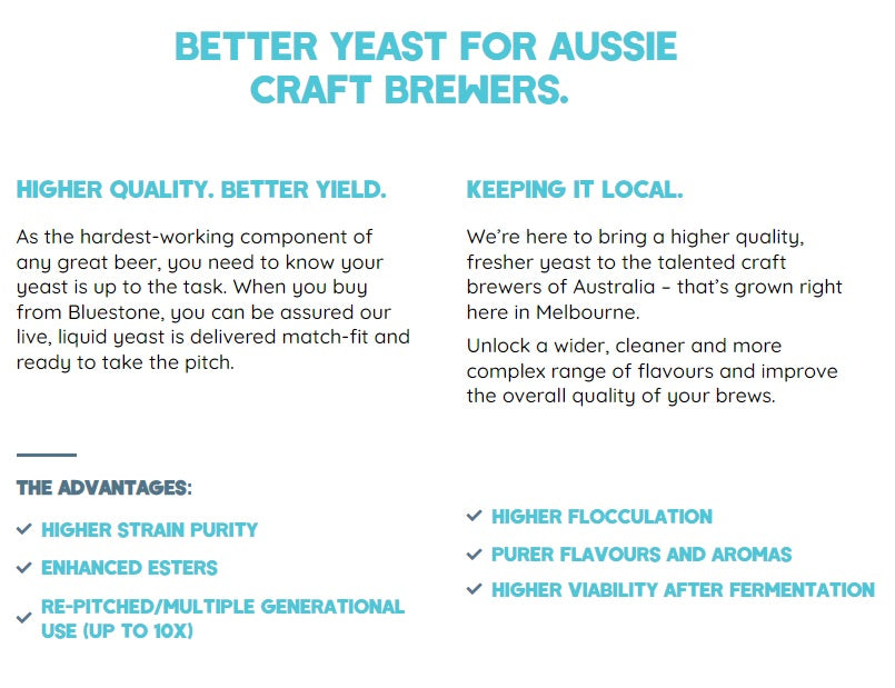 Yeast Antwerp Belgian Style Liquid Yeast | Made in Melbourne by Bluestone Yeast Co.