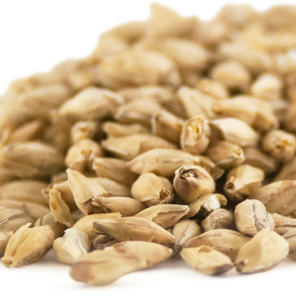 Chit Malt