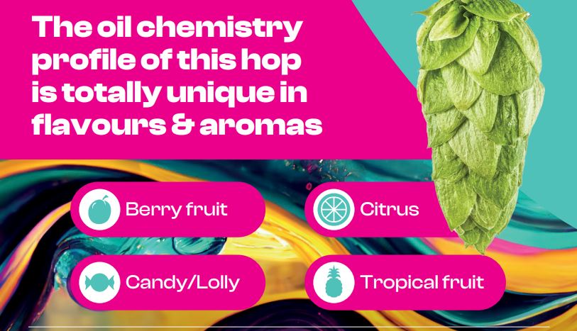 Superdelic Hop Pellets 100g