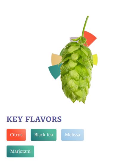 Hersbrucker Hop Pellets 100g