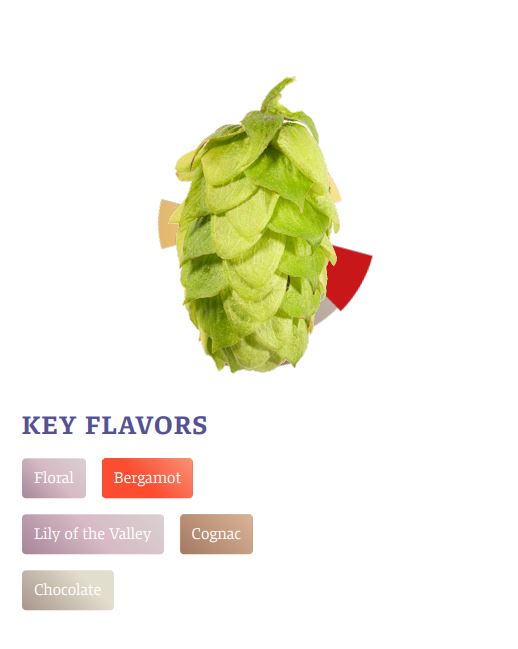 Tettnang Hop Pellets 100g
