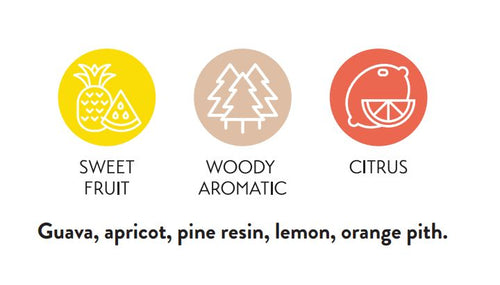 Idaho 7 Hop Pellets 100g