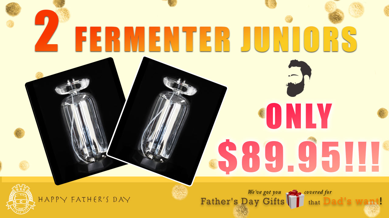 Fermenter King Junior 20L PET Pressure Fermenter Keg