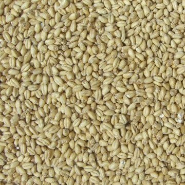 Joe White - Wheat Malt (25kg bag)
