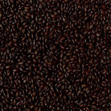 Joe White - Roasted Barley (25kg bag)