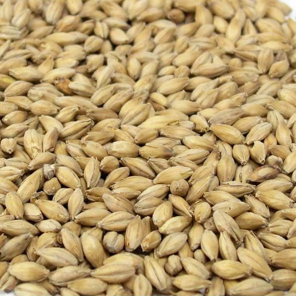 Simpsons - Maris Otter (per kg)
