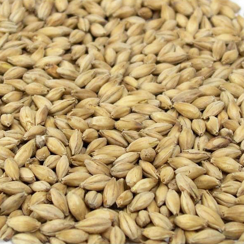 Simpsons - Maris Otter (25kg bag)