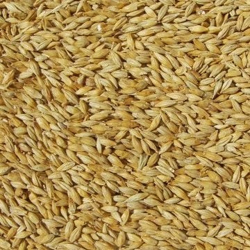 Weyermann - Carapils (per kg)