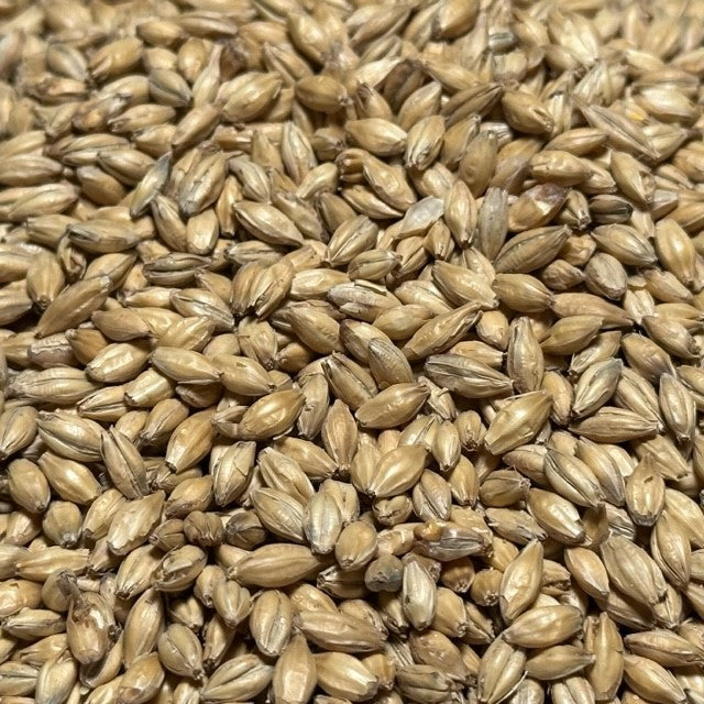 Coopers Premium Ale Malt (25kg bag)