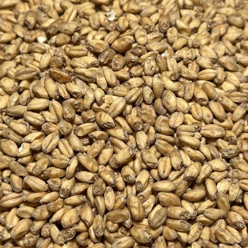 Coopers Premium Wheat Malt (5kg box - unmilled)