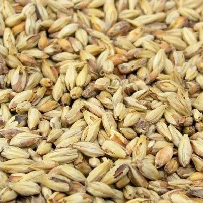 Briess - Victory Malt (per kg)