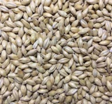 Voyager - Atlas Light Ale Malt (per kg)