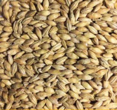 Voyager - Pale Compass (per kg)