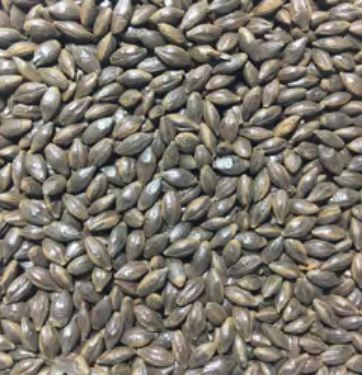 Voyager - Roast Barley (per kg)