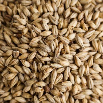 Voyager Pilsner Malt - Certified Organic 1KG
