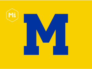 Michigan Bluestone Yeast