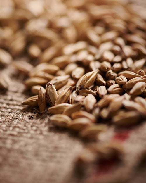 Melanoidin Malt Weyermann (per kg)