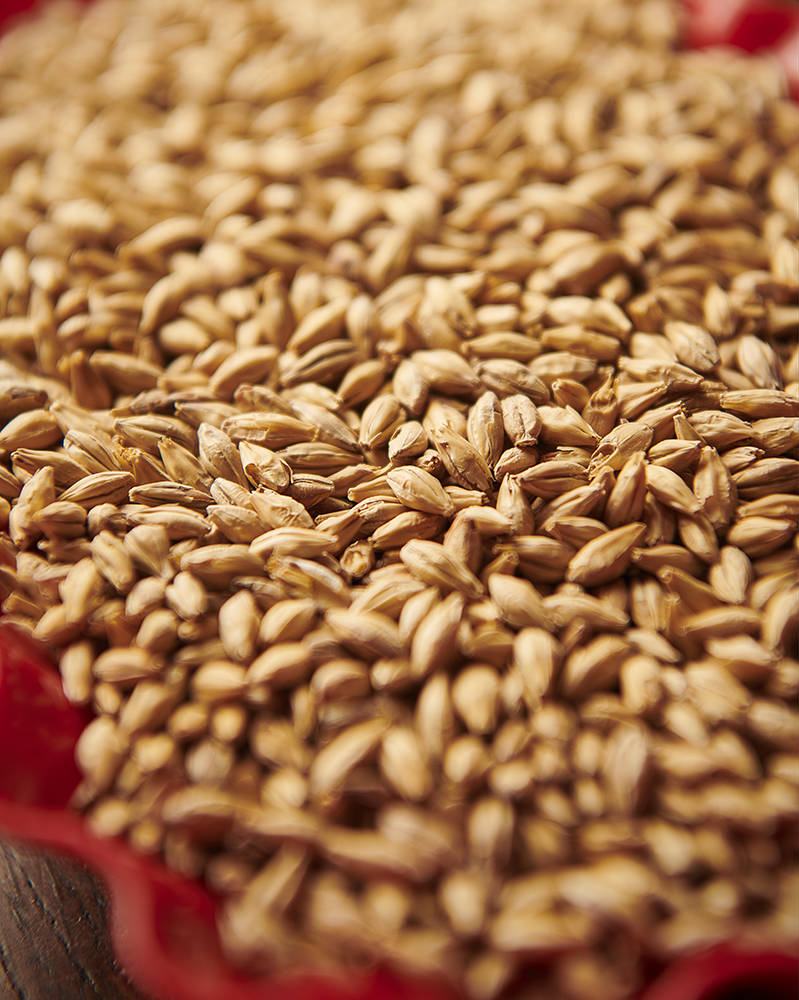 Munich Type 2 Malted Grain Photo