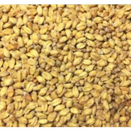 Voyager - Winter Wheat Malt (per kg)