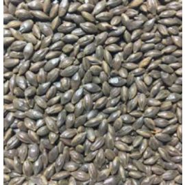 Voyager - Roast Barley (per kg)
