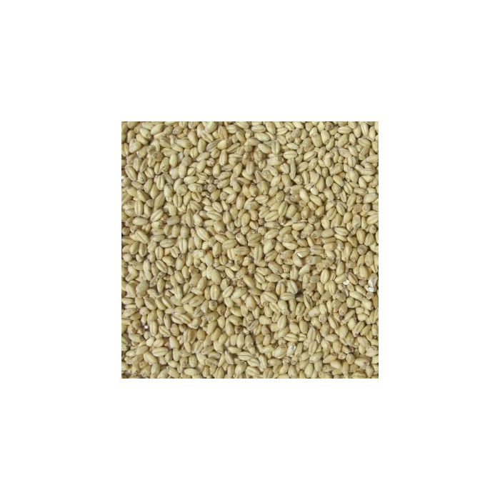 Joe White - Wheat Malt (25kg bag)