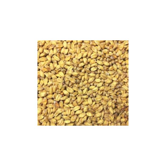 Voyager - Winter Wheat Malt (per kg)