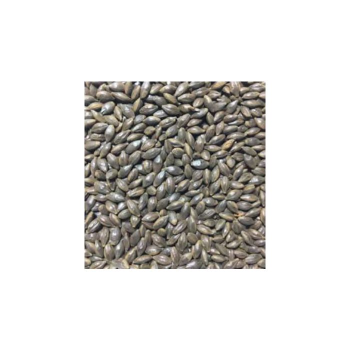 Voyager - Roast Barley (per kg)